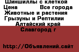 Шиншиллы с клеткой › Цена ­ 8 000 - Все города Животные и растения » Грызуны и Рептилии   . Алтайский край,Славгород г.